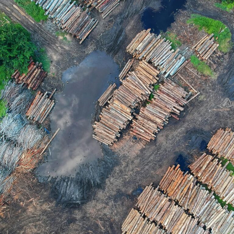 Understanding Carbon Credits in Embodied Carbon Reduction